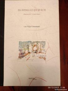 Libros: Poesía. Esa intensa luz que no se ve. Luis Felipe Comendador.Segundo Santos EDICIONES